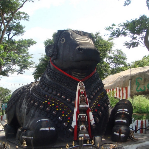 IN_AL_Mysore3 (Nandi Bull)